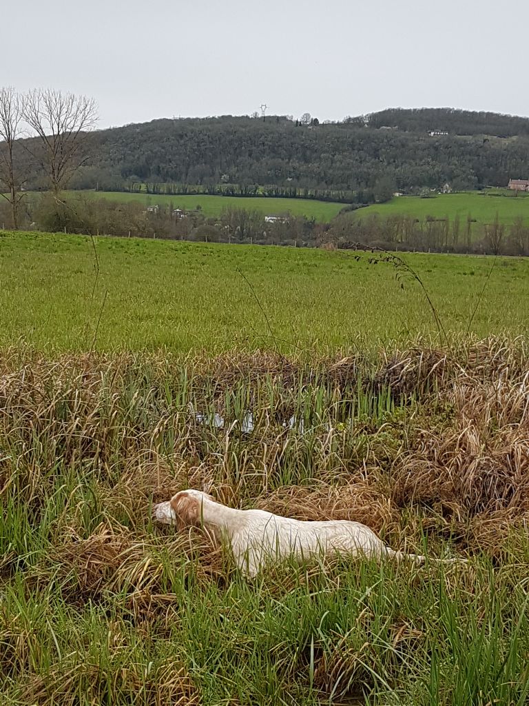 Saillie N'gie des Bruyères aux Mordorées le 18 mai 2025